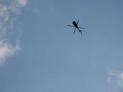 Horizon_Airmeet_2013_Set_2 096